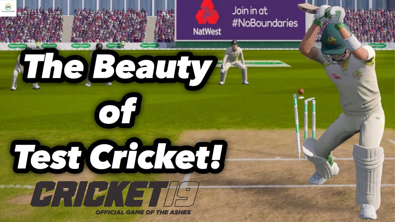 cricket game for pc in hindi commentary